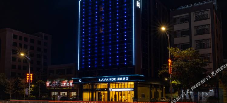 麗枫酒店(湛江高铁西站店)图片