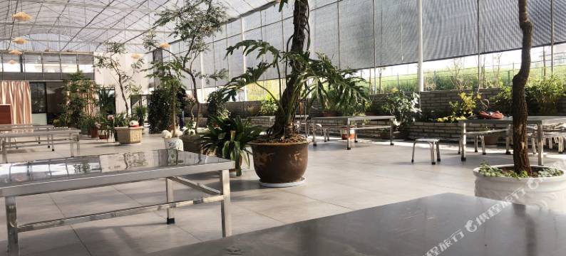 玉溪玉泉苑温泉图片