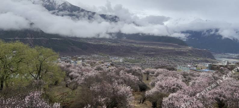 米林云峰轩客栈(索松村店)图片
