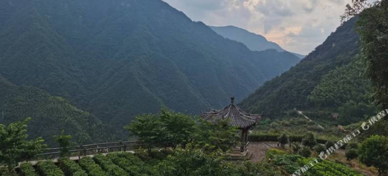 龙泉林韵人家农家乐图片