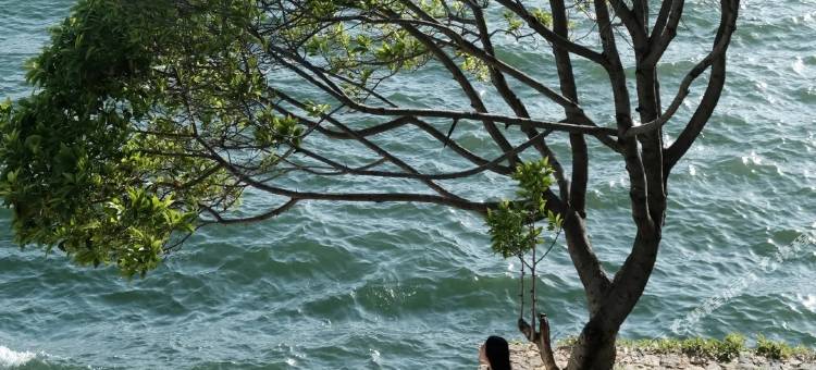 留白LIUBAI·村墅海景度假酒店图片