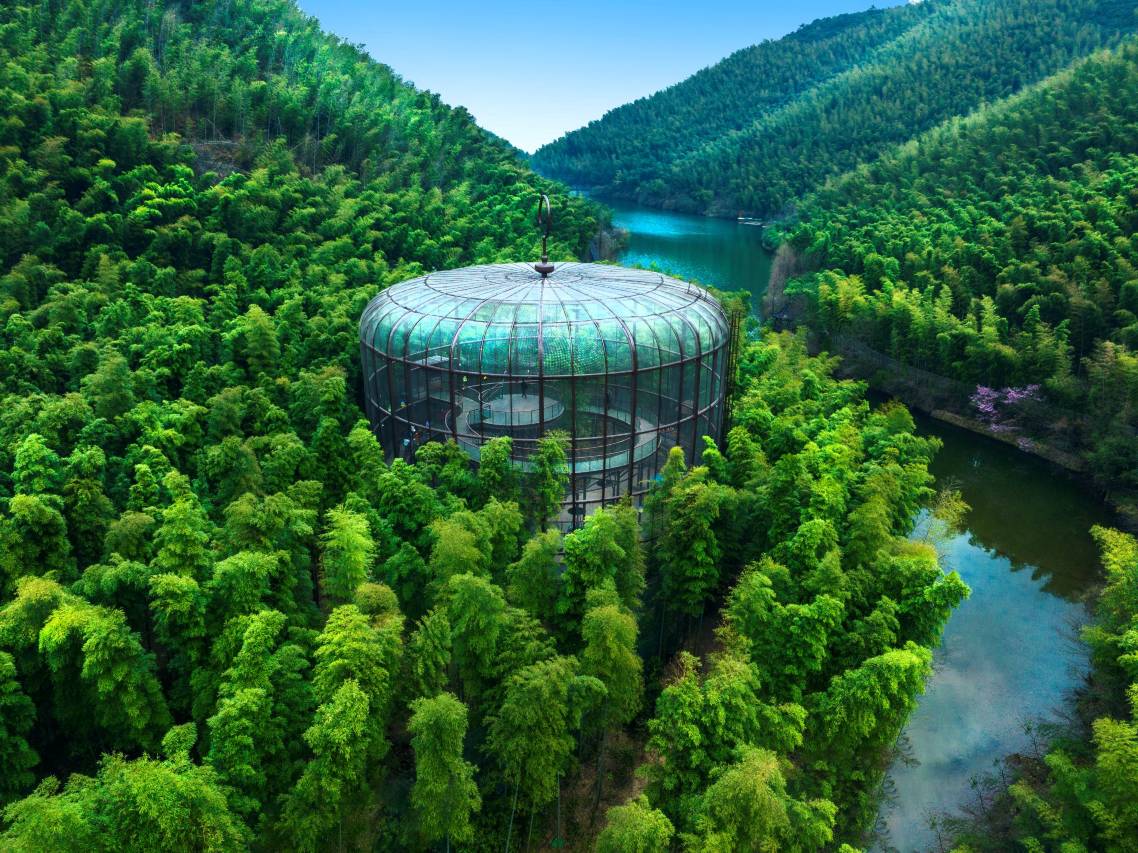 天目湖御水温泉·森酒店图片