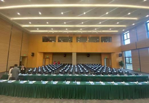 Platinum Celebrity Hotel Hotel Overview