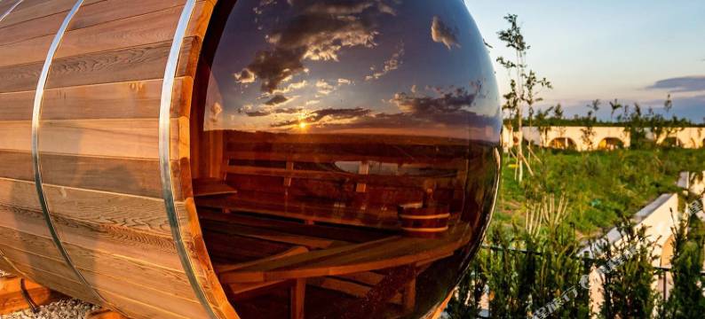 提米斯豪宅 - 健康&Spa度假村(Casa Timiș - Wellness & Spa Resort)图片