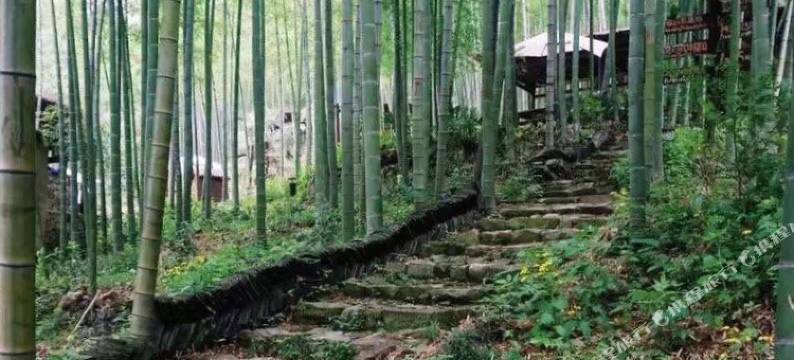 莫干山刘家小院图片