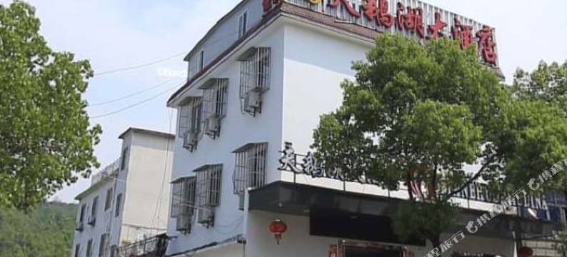 铜陵天鹅湖大酒店(铜陵海螺水泥厂店)图片