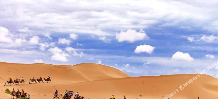 大漠明月露营基地图片