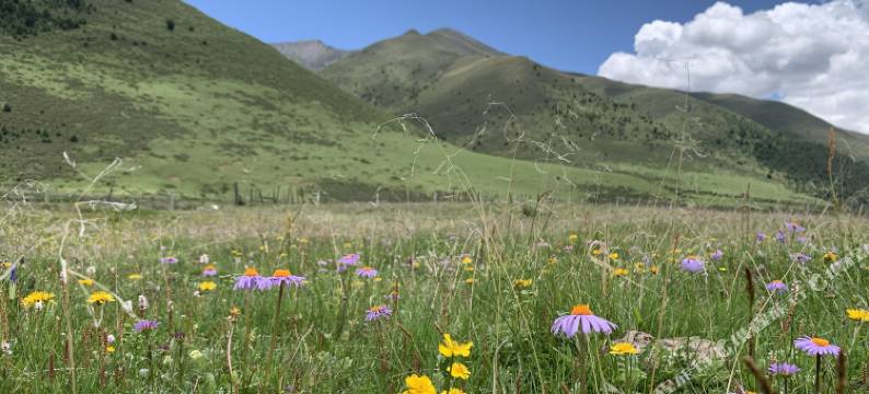 加楚庄园(冷嘎措店)图片