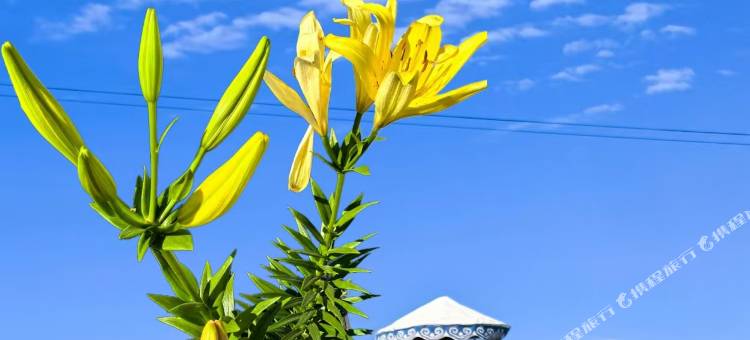 振杰商务宾馆图片