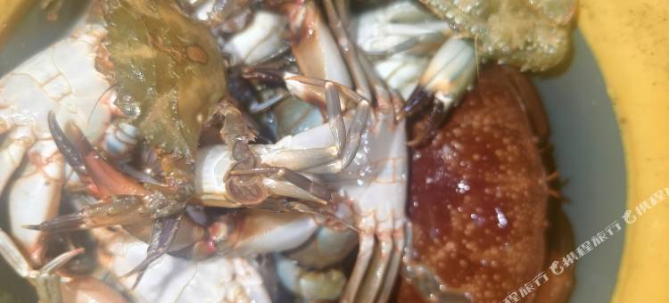 西岛海岛鱼夫民宿图片