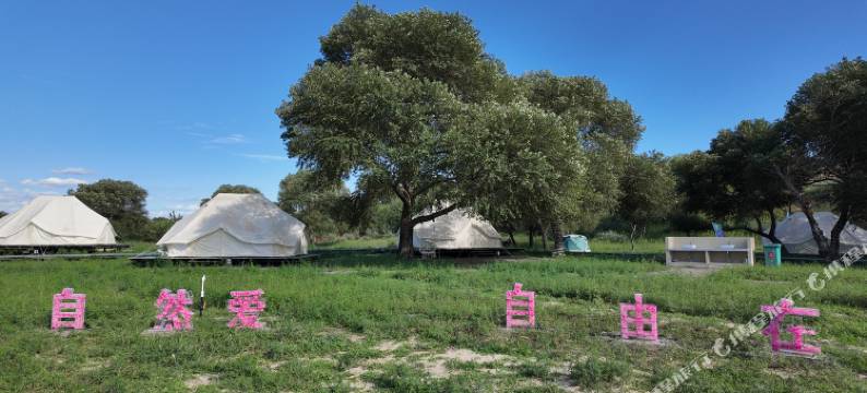 库伦旗银沙湾寻野营地图片