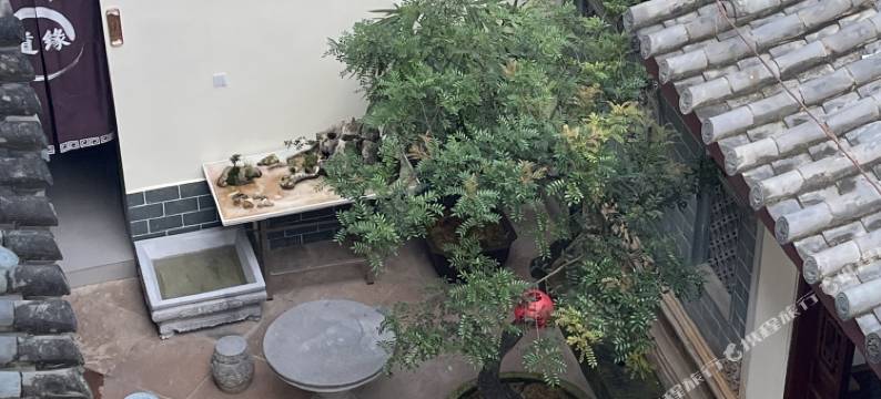 通海道缘墅居度假民宿(杞麓湖公园店)图片