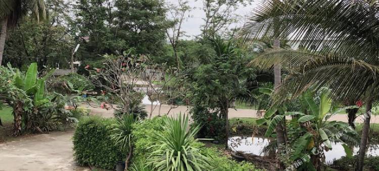 鲨鱼度假村(The Shark Resort)图片