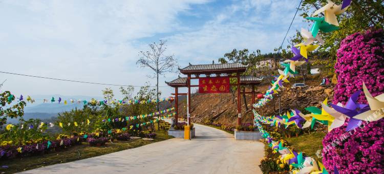新密东泰山庄生态园图片