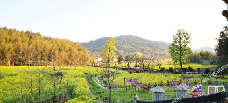 宏村塔川五柳斋图片