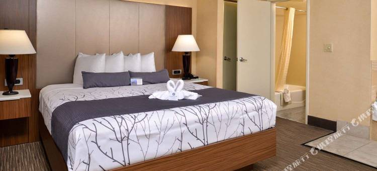 好莱坞广场贝斯特韦斯特酒店(Best Western Hollywood Plaza Inn Hotel - Hollywood Walk of Fame La)图片