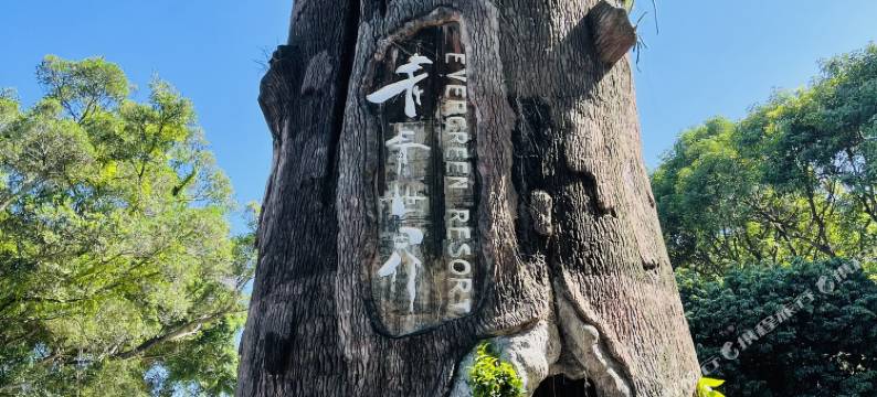 深圳青青世界酒店图片