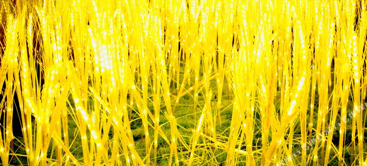 陆丰龙山宾馆图片