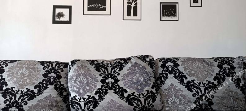 赣州艺海青年旅行社图片