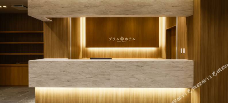 普拉姆酒店(Plum Hotel)图片