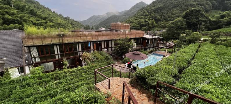 莫干山岭上茗墅茶文化温泉美墅图片