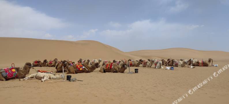 腾格里沙漠沙之缘露营地图片