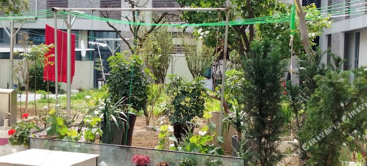 星宇民宿酒店(日照第三海水浴场店)图片