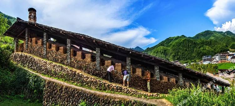 龙泉披云山民宿图片