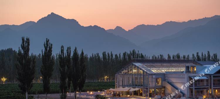 大乐之野·夏多兰酒庄(银川店)图片