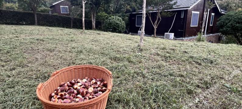 悠曼山居度假美墅图片