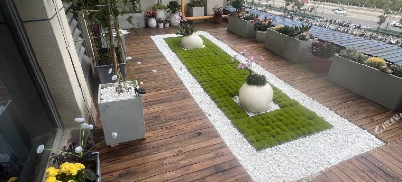 云禾小居民宿(吾悦广场店)图片