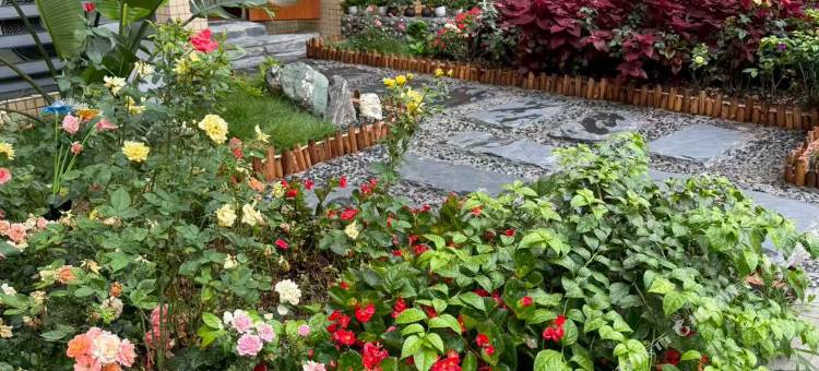 敏家小院民宿(雅安市人民医院大兴院区店)图片