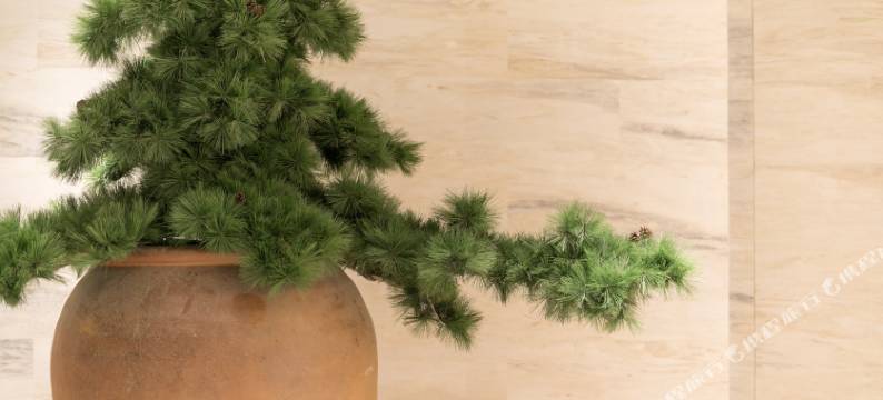 全季酒店(西安电视塔朱雀大街店)图片