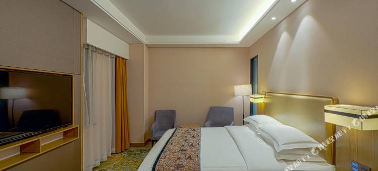 乌鲁木齐翼龙国际大酒店(乌鲁木齐高铁站自治区博物馆店)图片