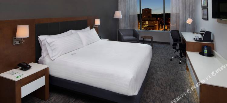 蒙特利尔市中心西假日酒店及套房(Holiday Inn & Suites Montreal Centre-Ville Ouest)图片