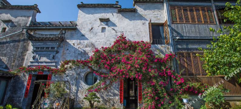 宏村三友堂·徽派庭院民宿图片