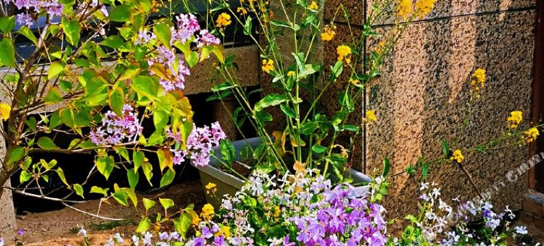 青岛仁者无敌公寓图片