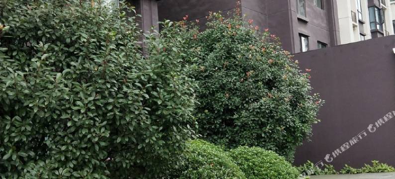 宜昌秋雨台公寓图片