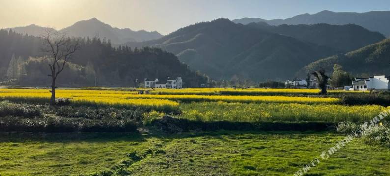 宏村卧溪谷民宿(卢村店)图片
