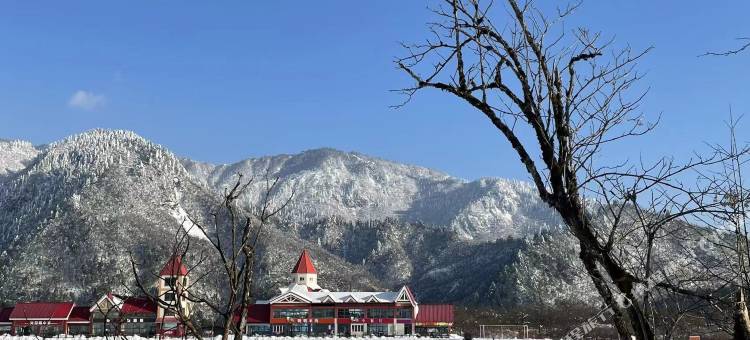 西岭雪山斯堪的纳度假酒店图片