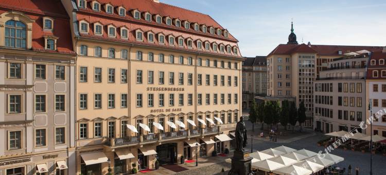 德累斯顿德萨克斯施柏阁酒店(Steigenberger Hotel de Saxe)图片