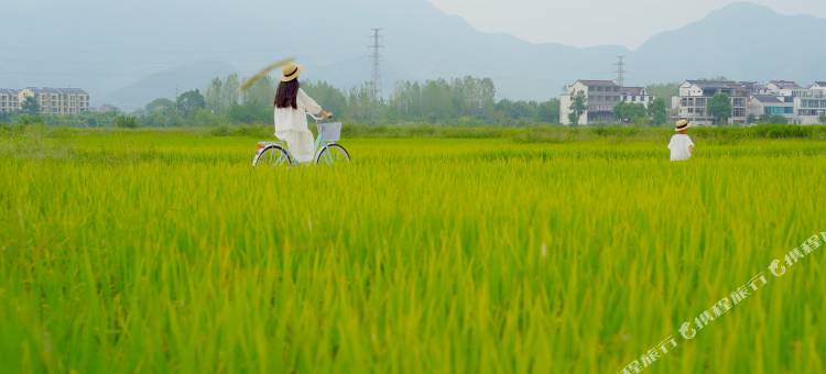 花筑·九华山夕露沾衣民宿图片
