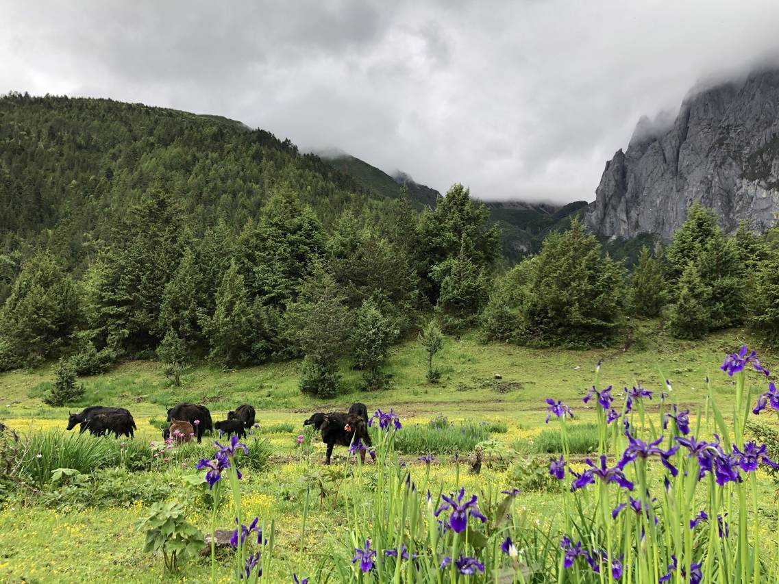 祥曲森巴·素隐传统藏式小院(独克宗古城店)图片