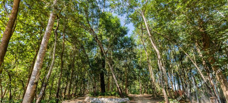 卡提利亚公园别墅(Katiliya Park Villa)图片