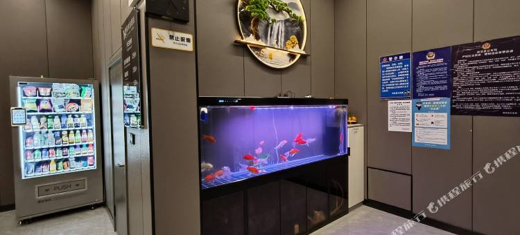 孙吴毅依佳酒店图片