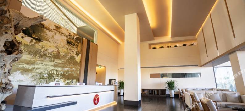 敦煌鹿野酒店(沙洲夜市店)图片