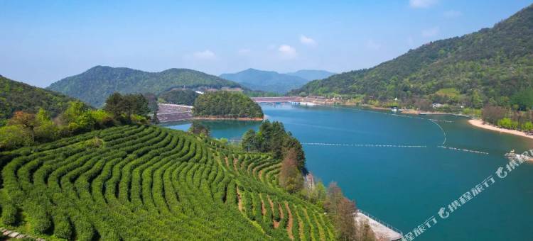 金华云山观北民宿(鹿女湖双龙景区店)图片