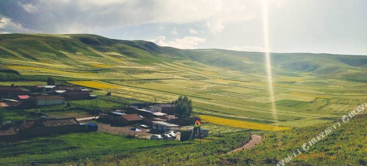 门源花海明芳山庄图片