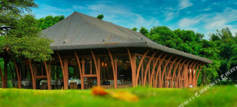 理想东方椰林稻香乡村民宿图片