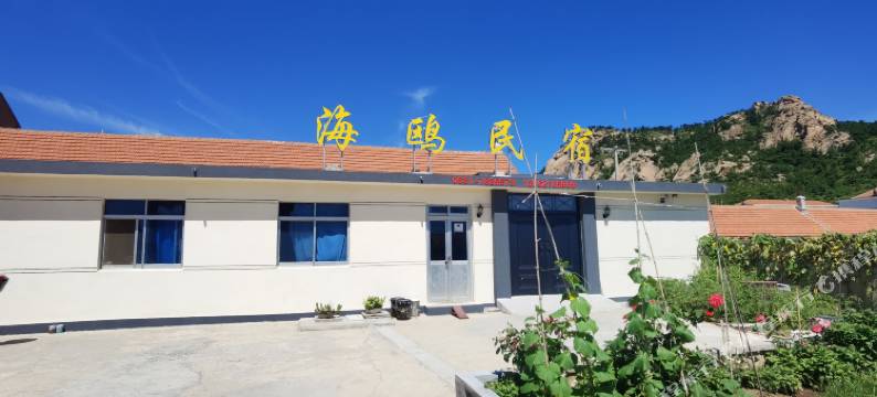 海鸥民宿(荣成成山头店)图片